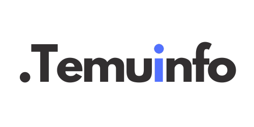 TEMU INFO Logo